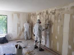 Best Environmental Consulting for Mold Prevention  in Eureka Mill, SC